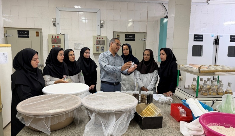 برگزاری دوره تخصصی مهارت‌افزایی پرورش و تکثیر عوامل کنترل بیولوژیک