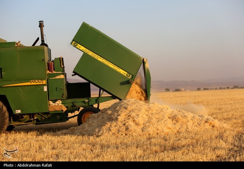 خرید تضمینی گندم در خراسان‌شمالی از 108 هزار تن گذشت