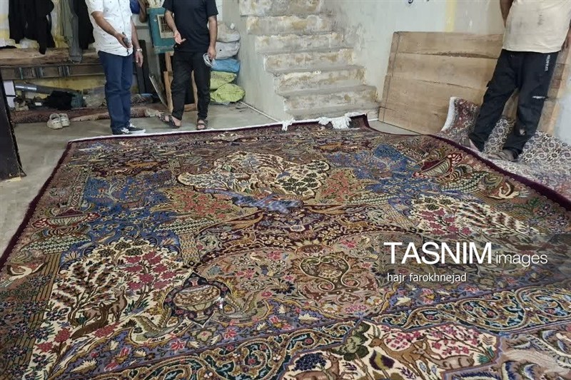 رفوگری فرش بیرجند در پیچوخم رکود؛ هنری که نفسهای آخر میکشد+ تصویر اخبار استان خراسان جنوبی , خبرگزاری تسنیم , فرش ایرانی ,