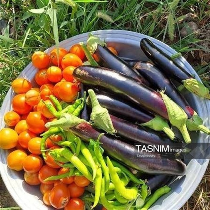 سفر به قلب هویت و اصالت گیلان؛ روزگار پرمهر و سبک زندگی اصیل