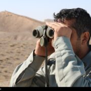 نجات یوز و حیات‌وحش با پاسگاه‌های فرسوده/ ‌محیط‌بانی با دستان خالی!