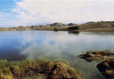 حیات دوباره قوری‌گول؛ بازگشت و زادآوری اردک سرسفید پس از سال‌ها