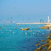 پیوند عمیق ظرفیت‌های تاریخی با میراث ناملموس گردشگری بوشهر