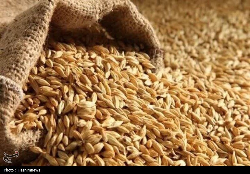 اخبار همدان , اخبار استان همدان , 